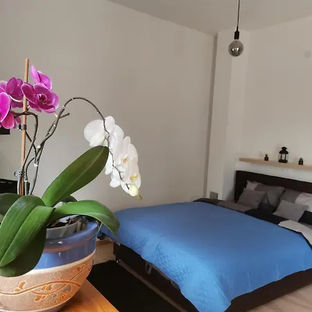 Sandra Apartament Lovran