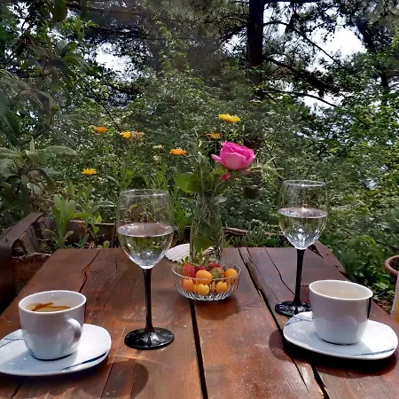 Sandra Apartament Lovran